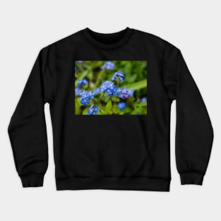 Forget-Me-Nots 1 Crewneck Sweatshirt